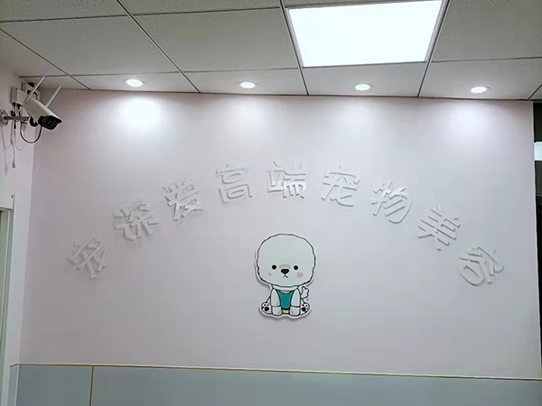 前台环境 前台环境