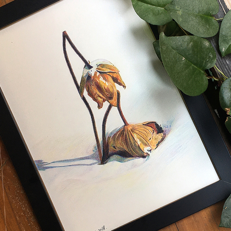 學(xué)生彩鉛 學(xué)生彩鉛