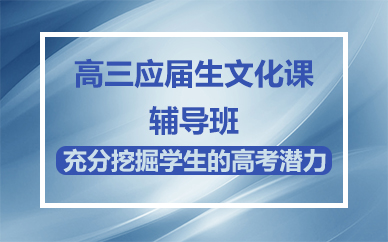 南宁高三应届生文化课辅导班