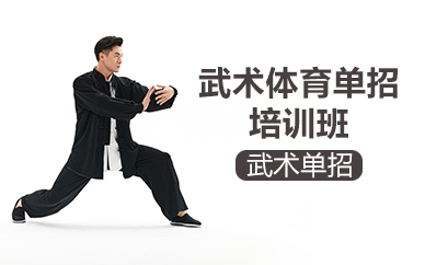 杭州武术体育单招培训班