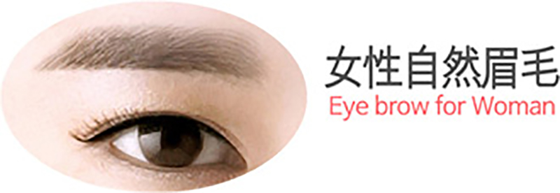 女性眉毛 女性眉毛
