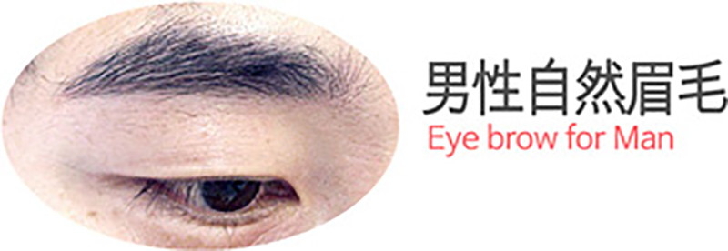男性眉毛 男性眉毛