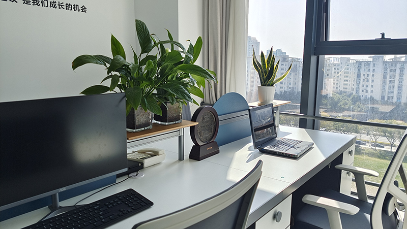 【苏州豆瓜】办公区