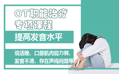 苏州OT职能治疗专项课程