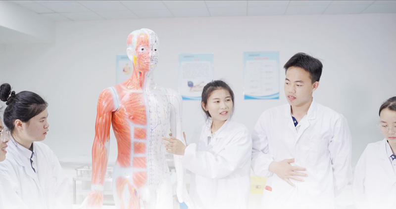 长沙中医康复技术专业中专班