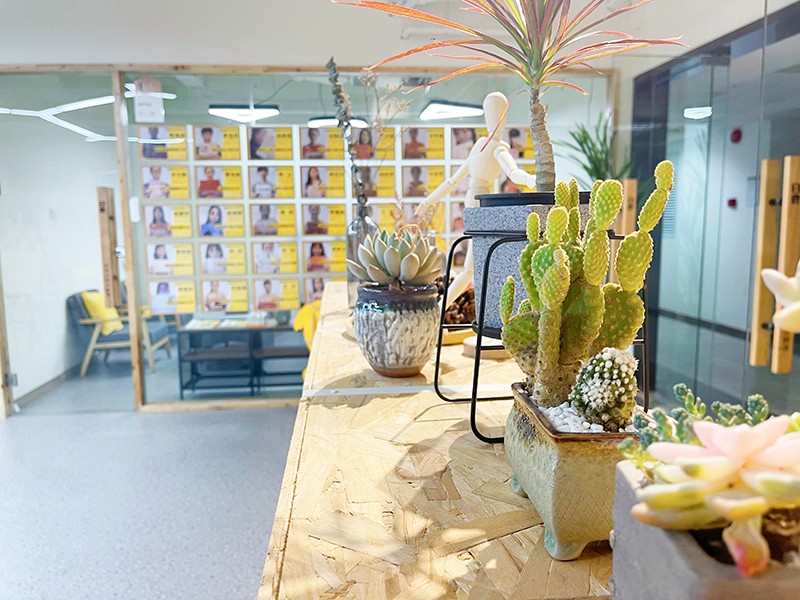 环境展示