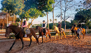 广州暨南大学港澳台联考教学怎么样？四十余年联考培训史！