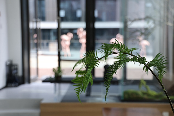 依灵瑜伽 依灵瑜伽