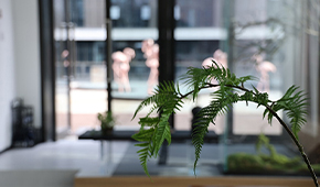 杭州依灵瑜伽环境怎么样？内附环境图片！