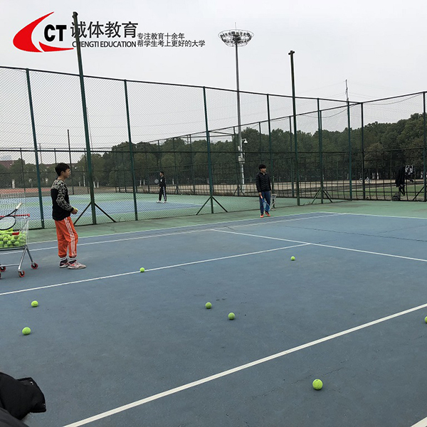 網(wǎng)球?qū)m?xiàng)訓(xùn)練 網(wǎng)球?qū)m?xiàng)訓(xùn)練