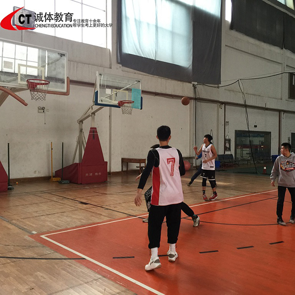 篮球专项训练 篮球专项训练