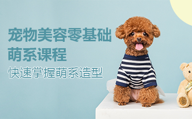 杭州宠物美容零基础萌系课程