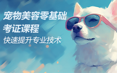 杭州宠物美容零基础考证课程
