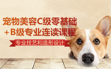 北京宠物美容C级零基础+B级专业连读课程