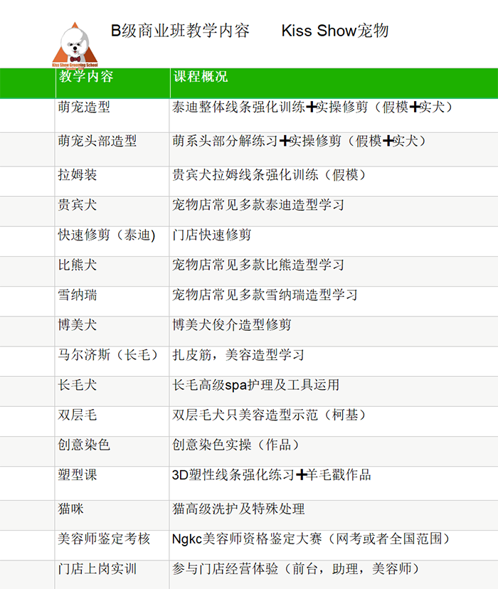 B级商业班教学内容 B级商业班教学内容