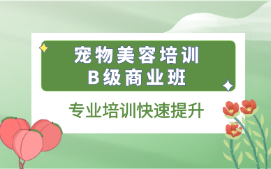 重庆宠物美容培训B级商业班