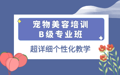 重庆宠物美容培训B级专业班