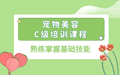 重庆宠物美容C级培训课程