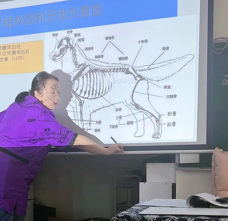 理论知识学习 理论知识学习