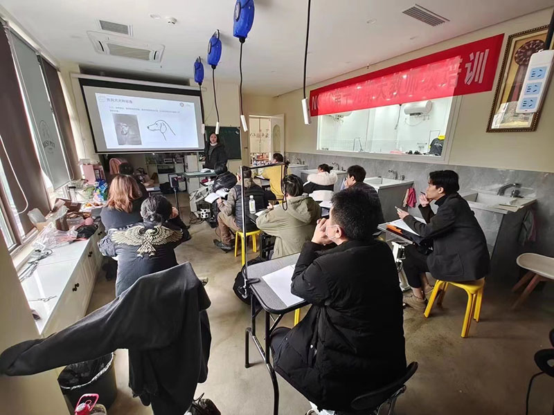 老师教学现场 老师教学现场