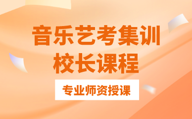 武汉音乐艺考集训校长课程