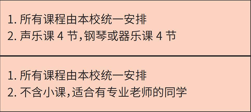 其他安排 其他安排