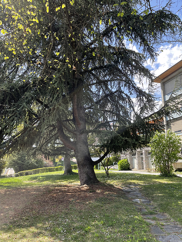 服务点环境+学校环境