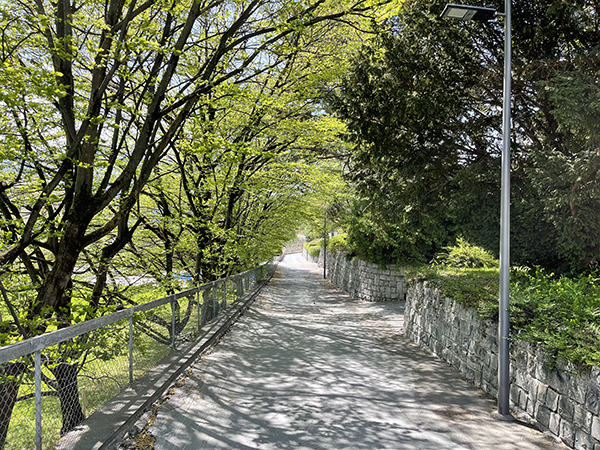 瑞士锡永校园小路