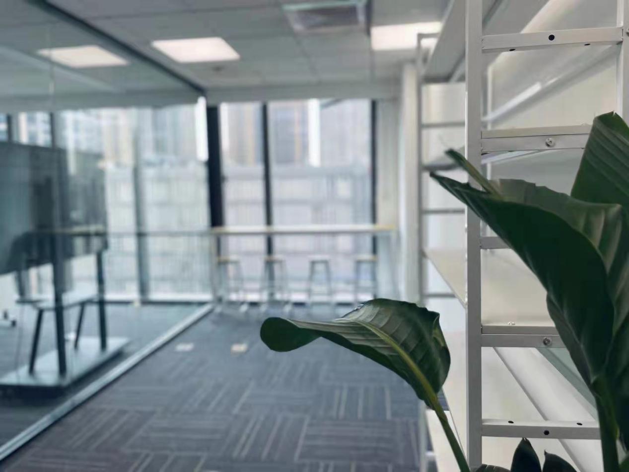 环境展示 环境展示