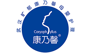 武漢曠氏康乃馨學(xué)費(fèi)怎么算？內(nèi)有課程價(jià)格附上！