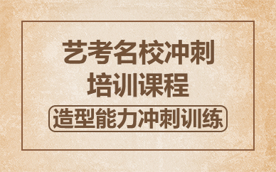 北京艺考名校冲刺培训课程