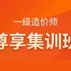 一级造价师尊享集训班