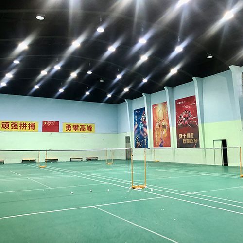 羽毛球馆 羽毛球馆
