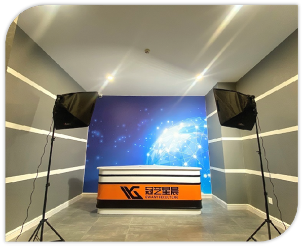 模拟演播厅