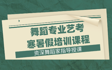 舞蹈专业艺考寒暑假培训课程