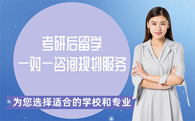 长沙考研后留学一对一咨询规划服务