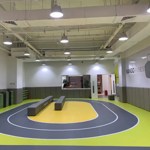 体能馆  体能馆