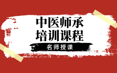 中医师承培训课程
