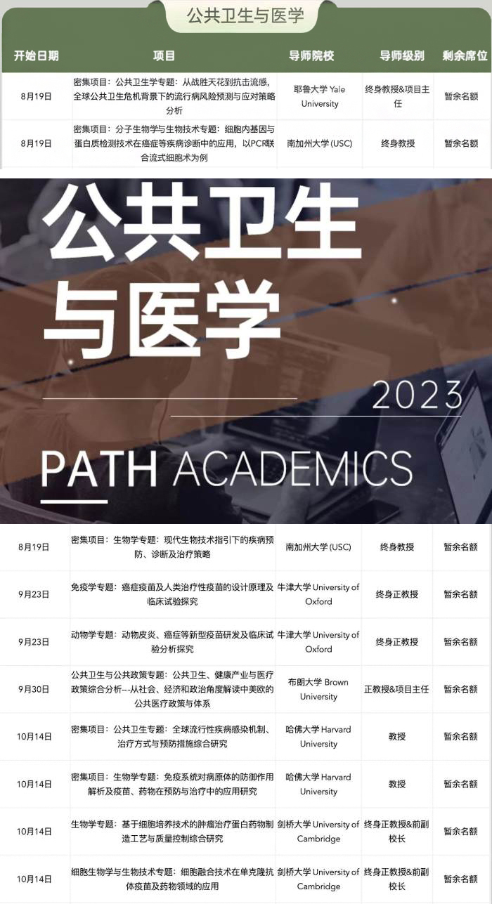 项目安排 项目安排