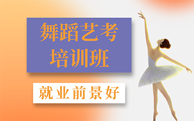 南京舞蹈艺考培训班