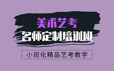 南京美术艺考名师定制培训班