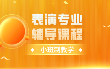 合肥表演专业辅导课程