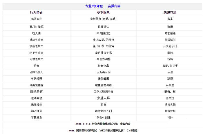 C+B级专业训犬师训练班