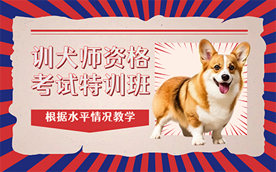 广州训犬师资格考试特训班