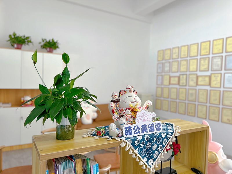 环境展示 环境展示