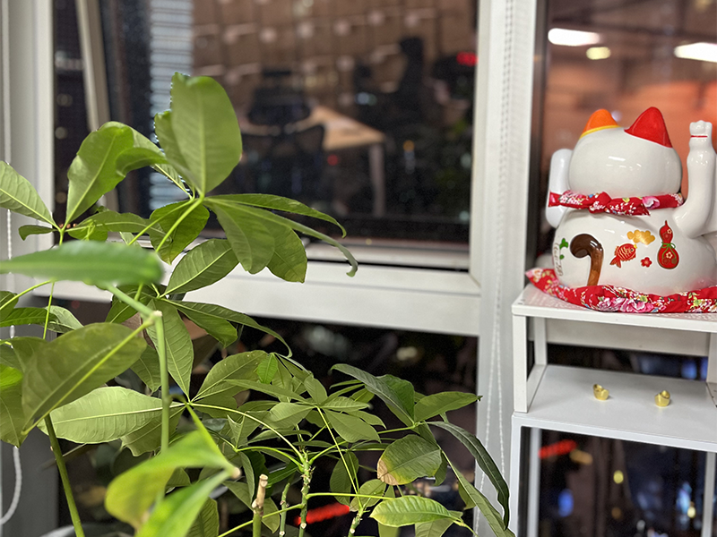 环境展示 环境展示