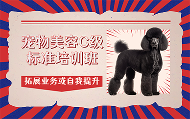 广州宠物美容C级标准培训班