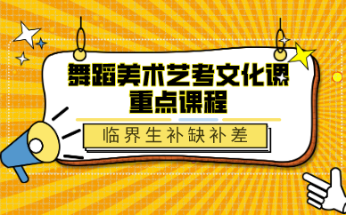 舞蹈美术艺考文化课重点课程 舞蹈美术艺考文化课重点课程