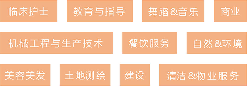 职业学位项目 职业学位项目