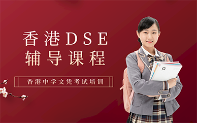 杭州香港DSE辅导课程